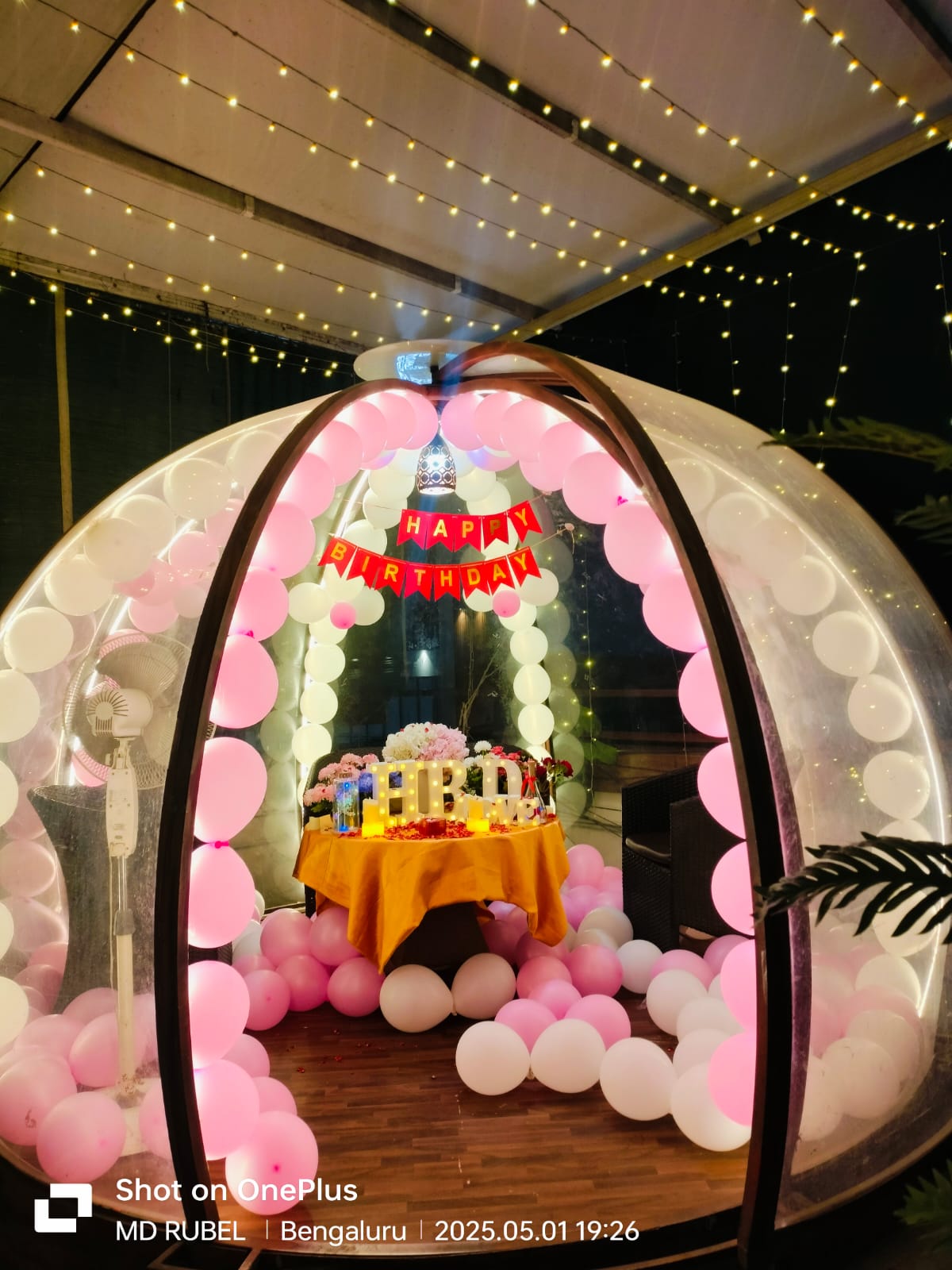 Glass-Enclosed Rooftop Garden Cafe- Book Now